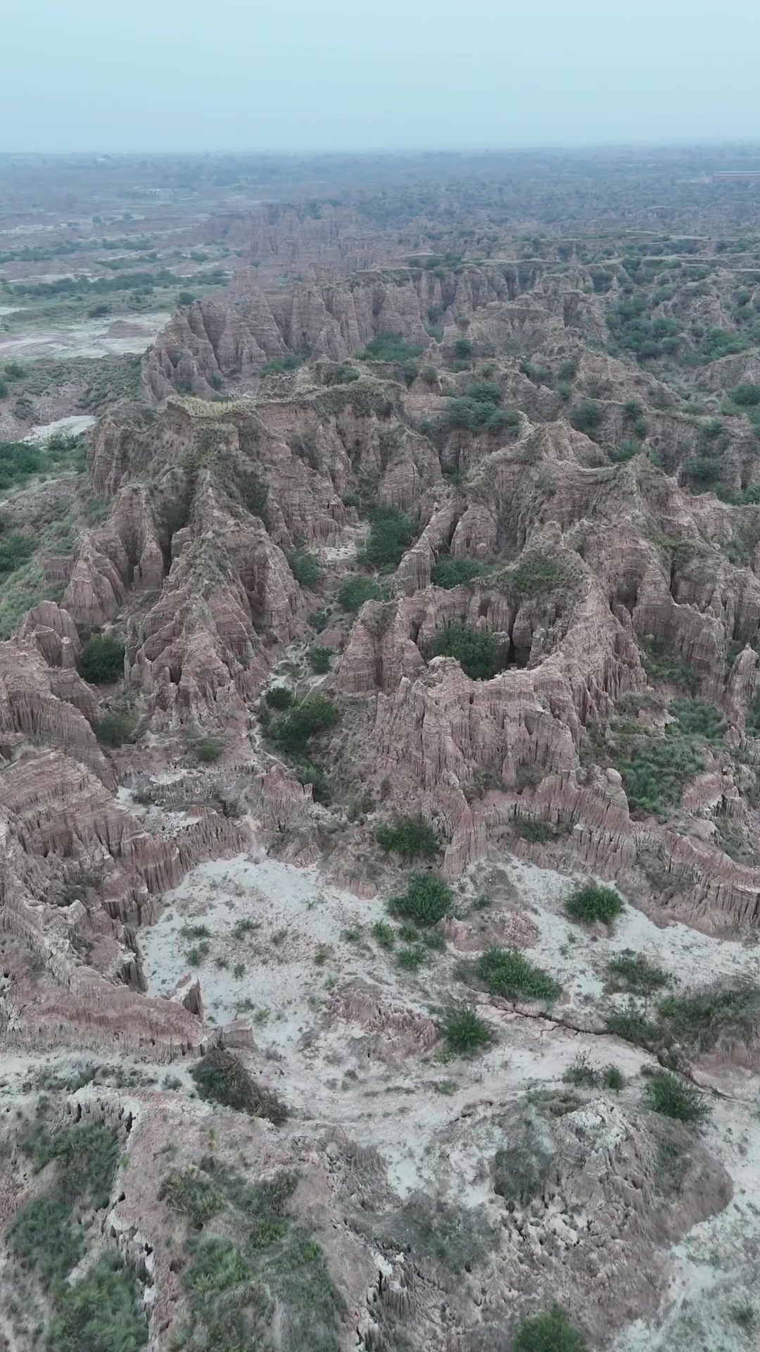@dronezone04