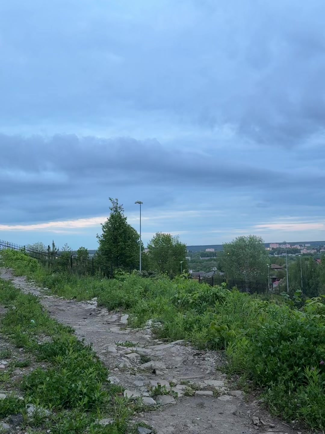 @софушка