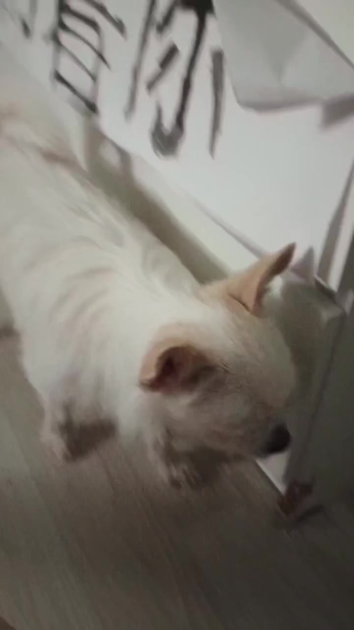 @Мефедрон 812