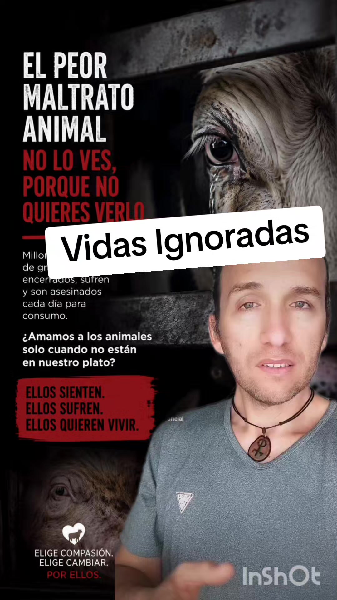 @Animal Veritas