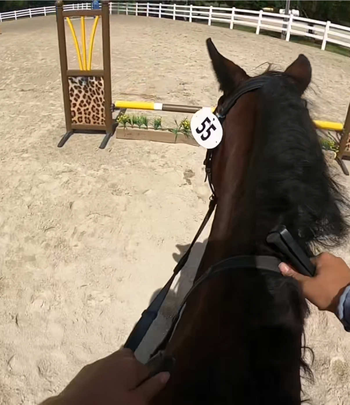 @Keyton Rylee 🐴🏇