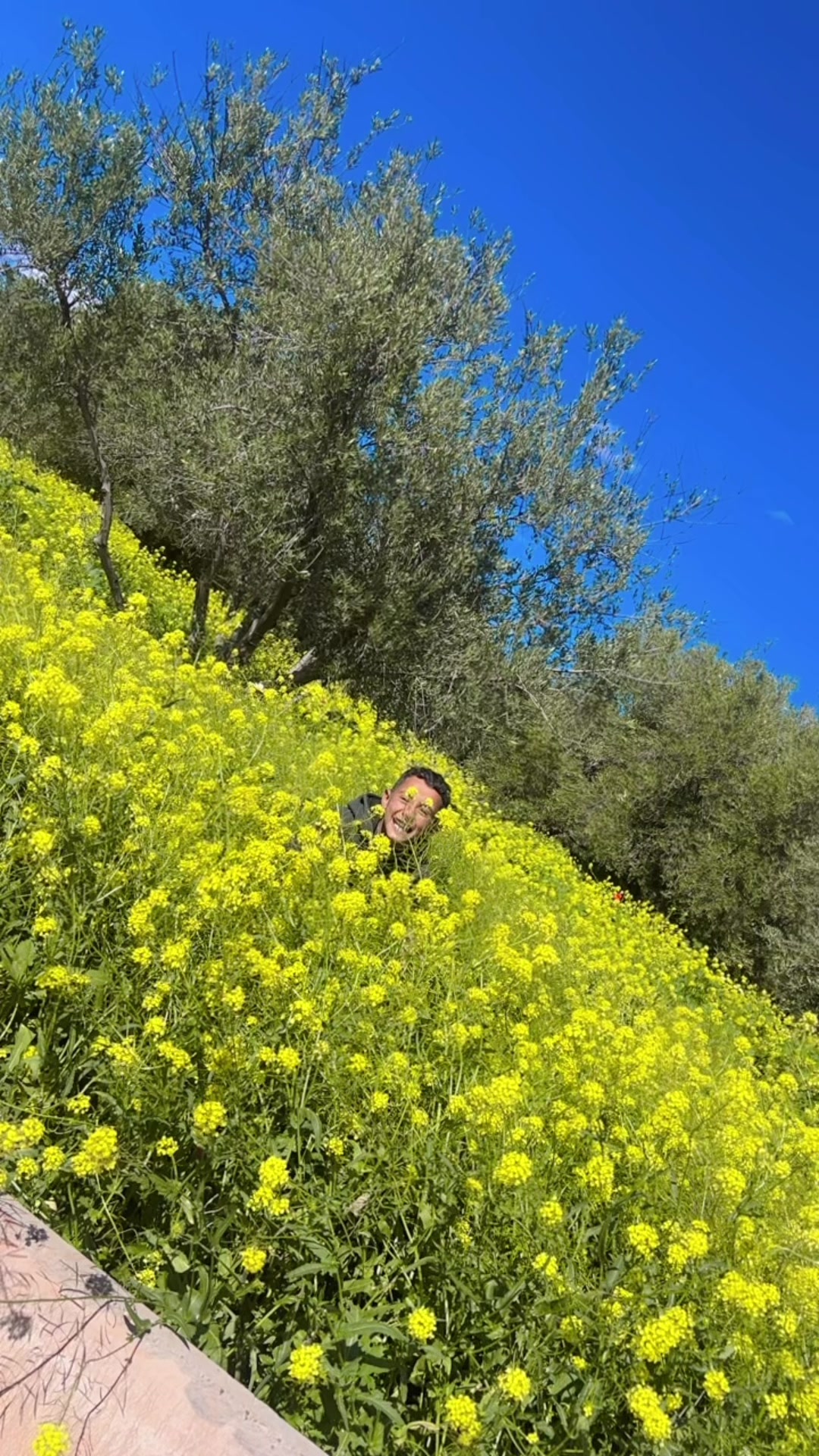 @aliae_alia