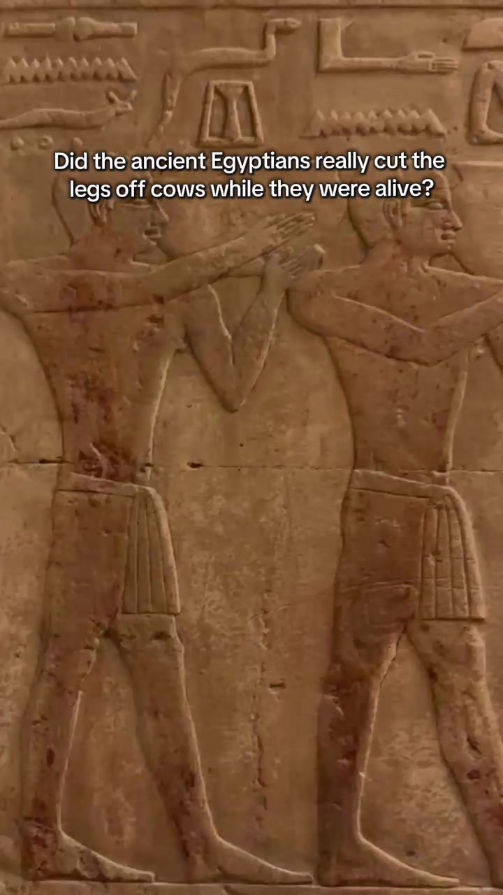 @Unlock Egypt Tours