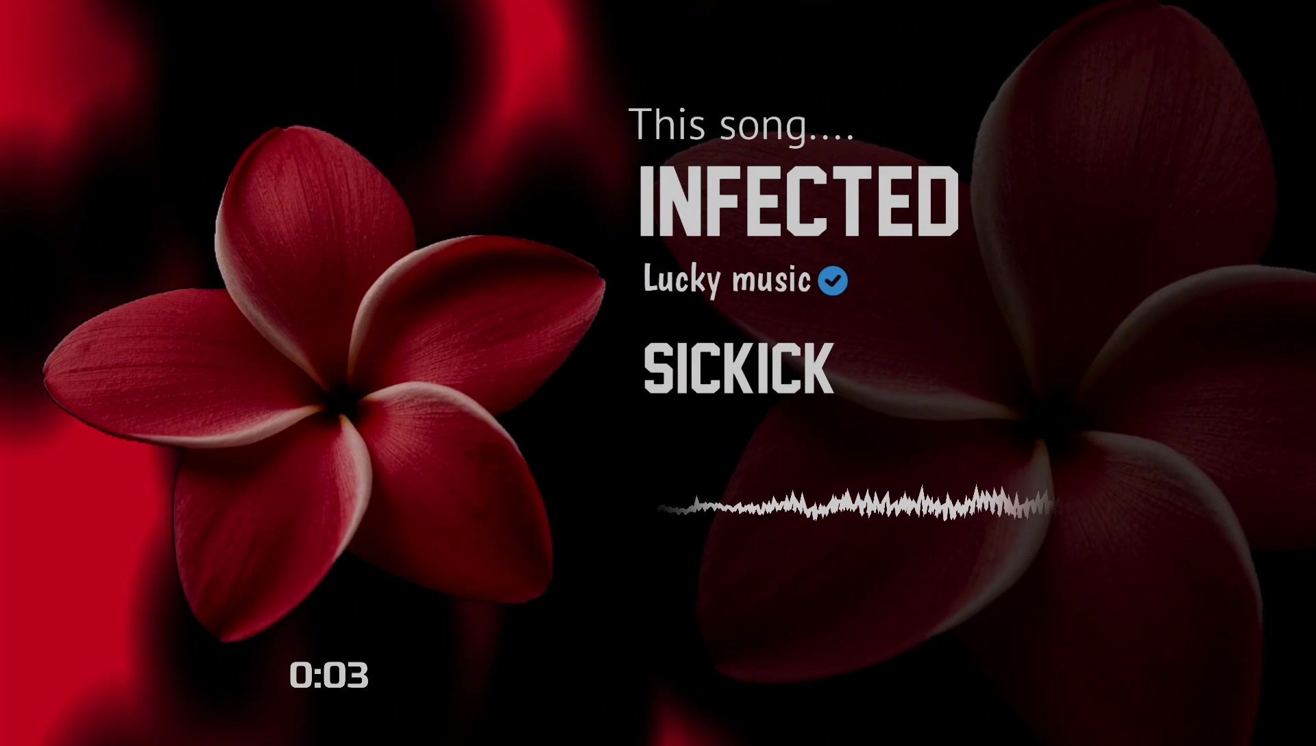 @Lucky Music