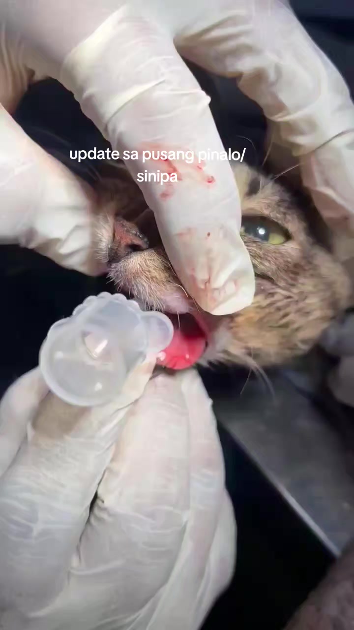 @mylharescues