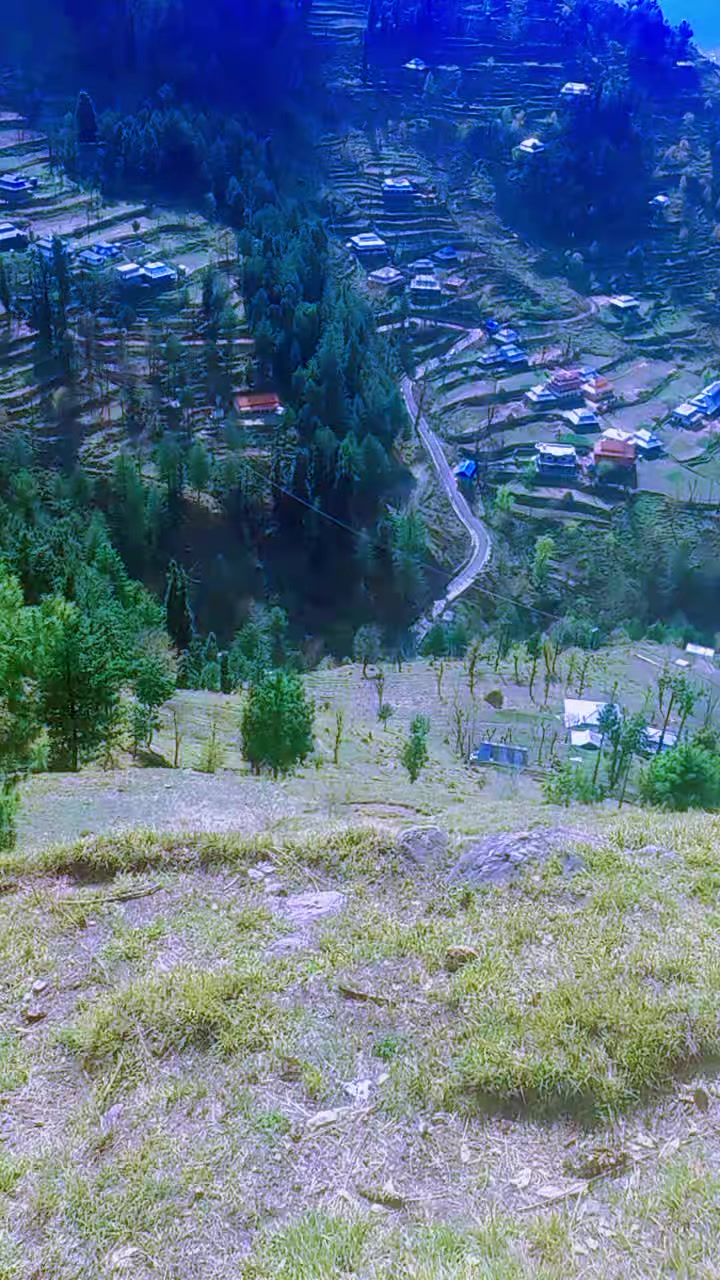 @riazmagray