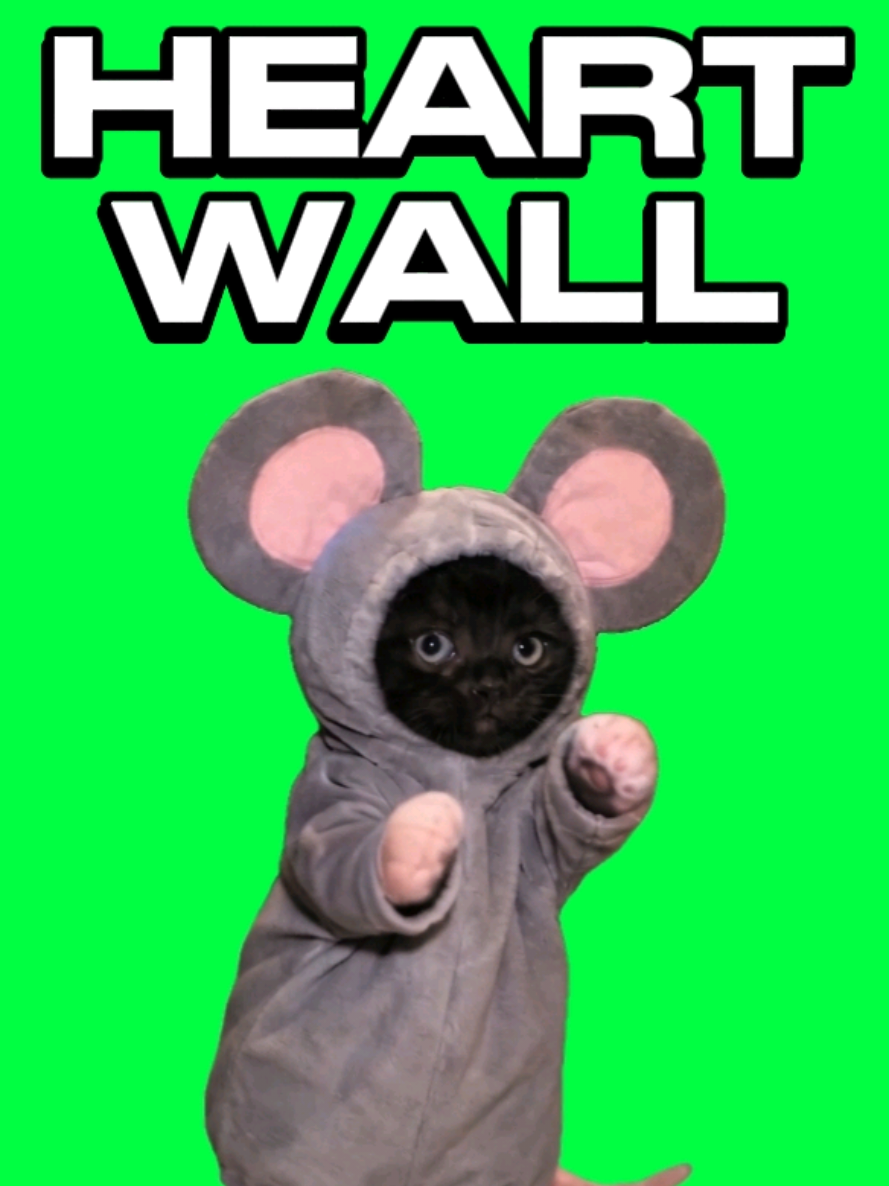 @MemeScreens
