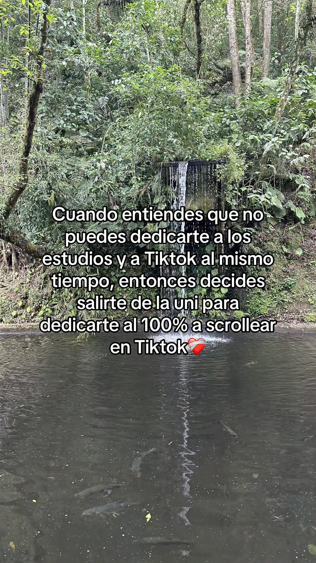 @Ameritación