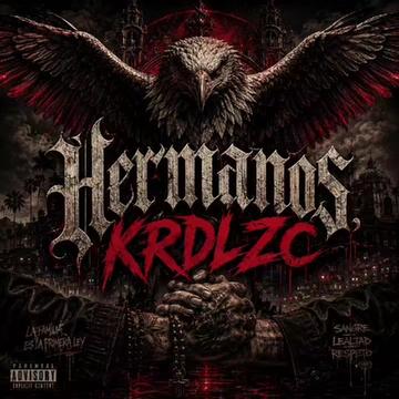 @Karadi Lzc