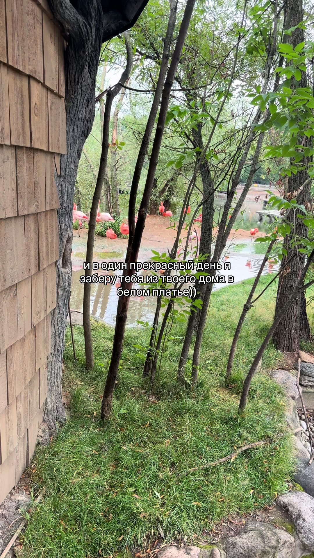 @askerov🇦🇿