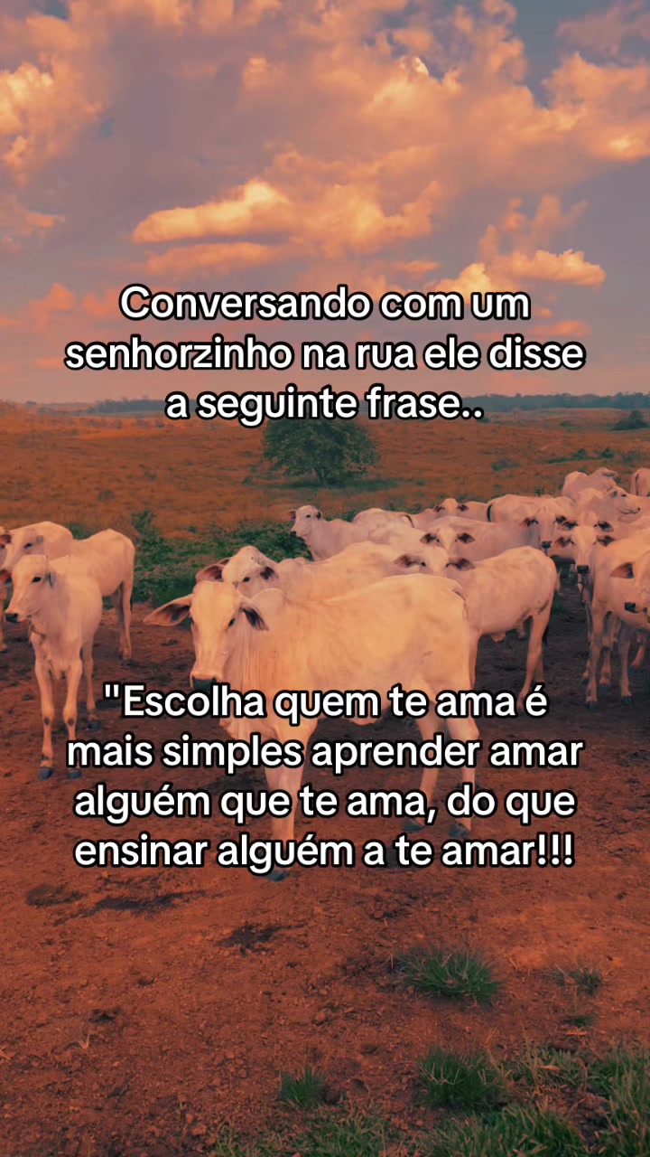 @📿K&Aacute;SSIO.agro𓃗🤠