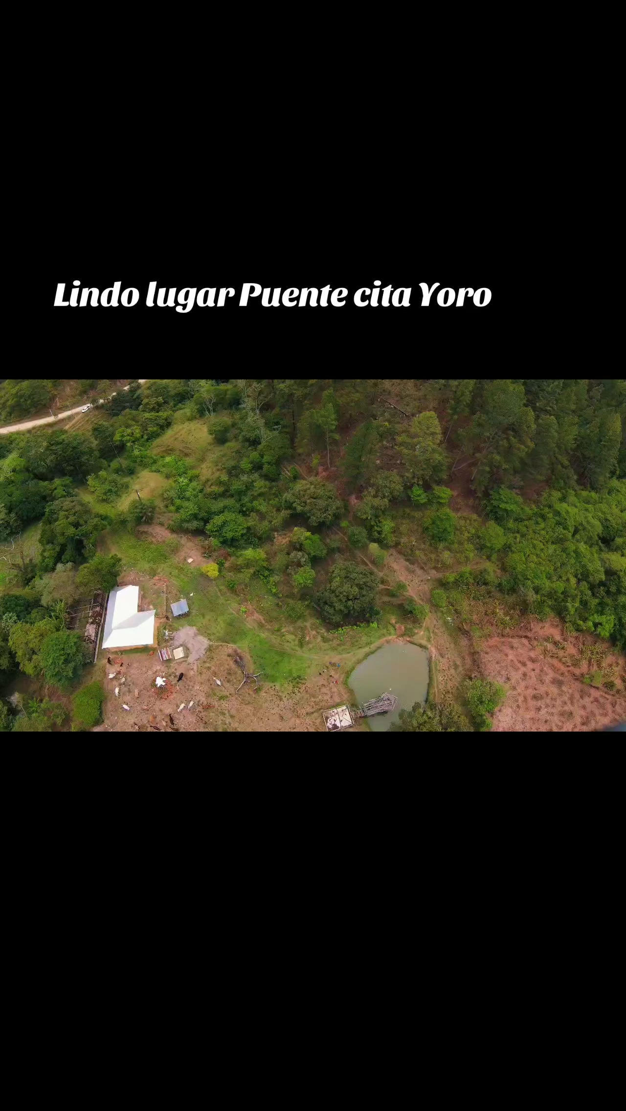 @Morales noticias Yoro