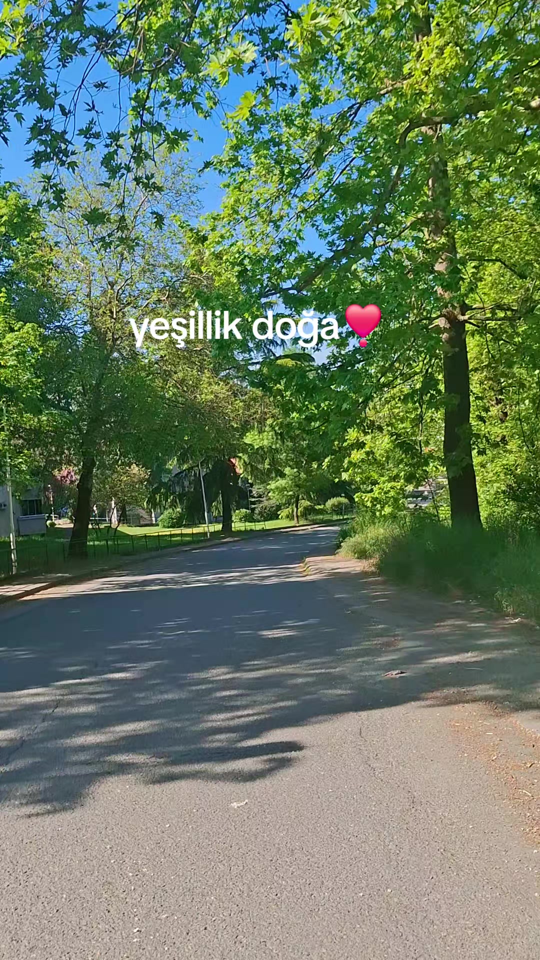 @Pınar yurdusever