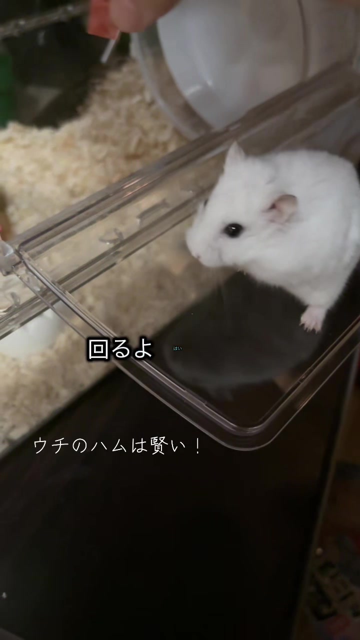 @🐰けん中daしして⭐️