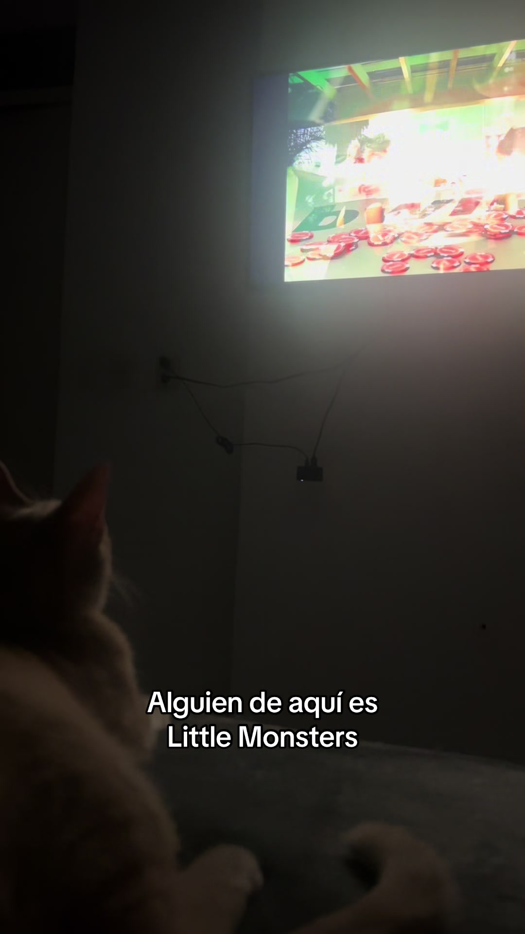 @Chat&Oro