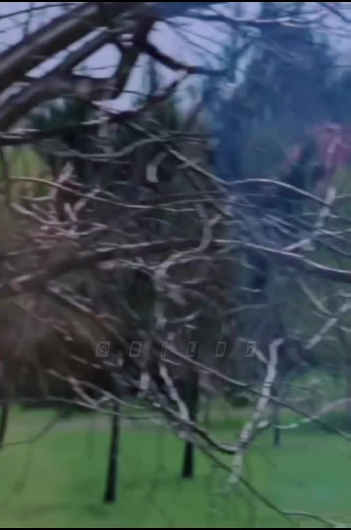 @البــلوشــــــي