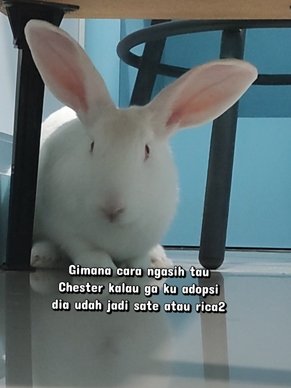 @Nicholas Seah