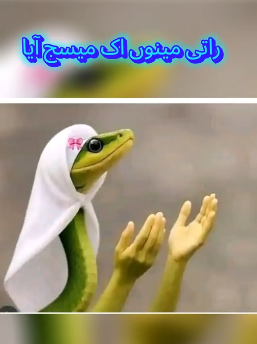 @🌼Faria Sheikh🌼