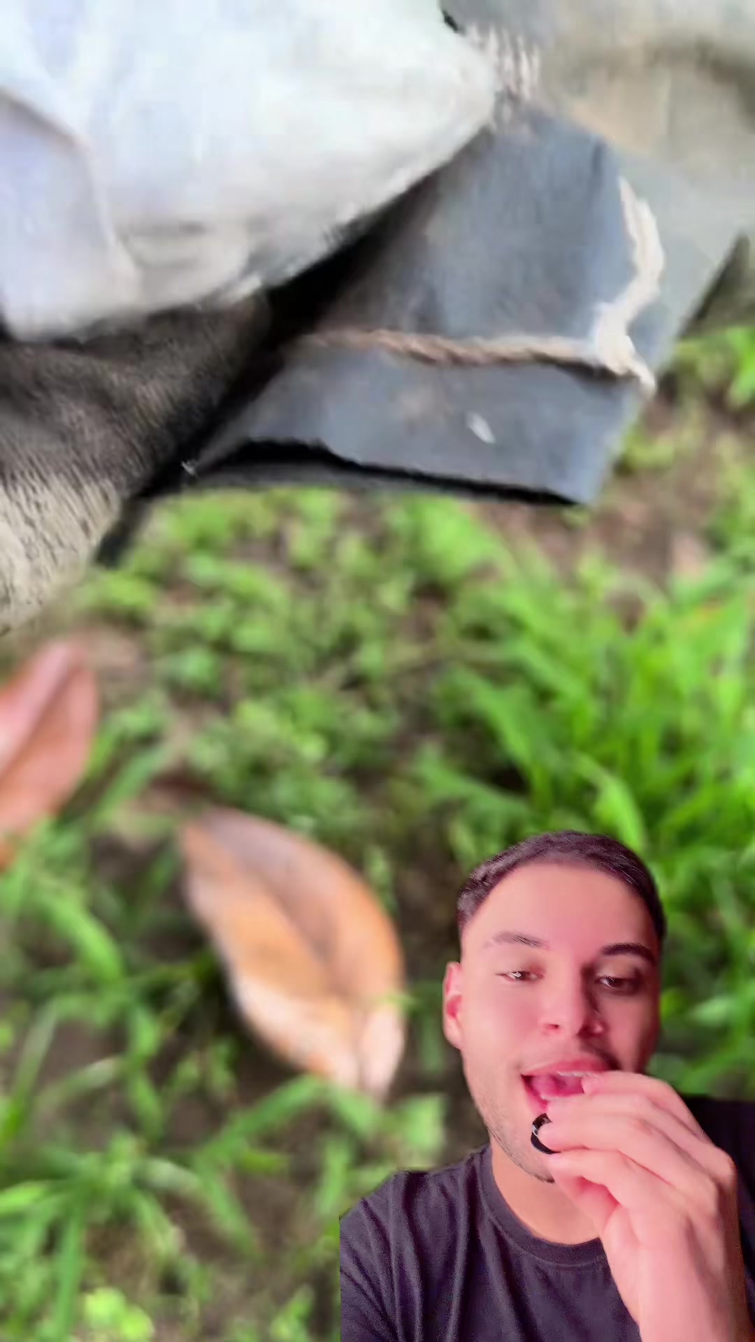@Victorioso