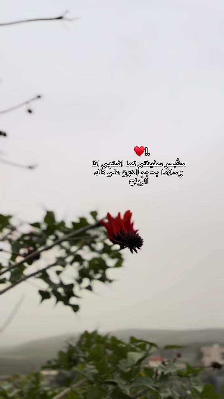 @🖤𓂆