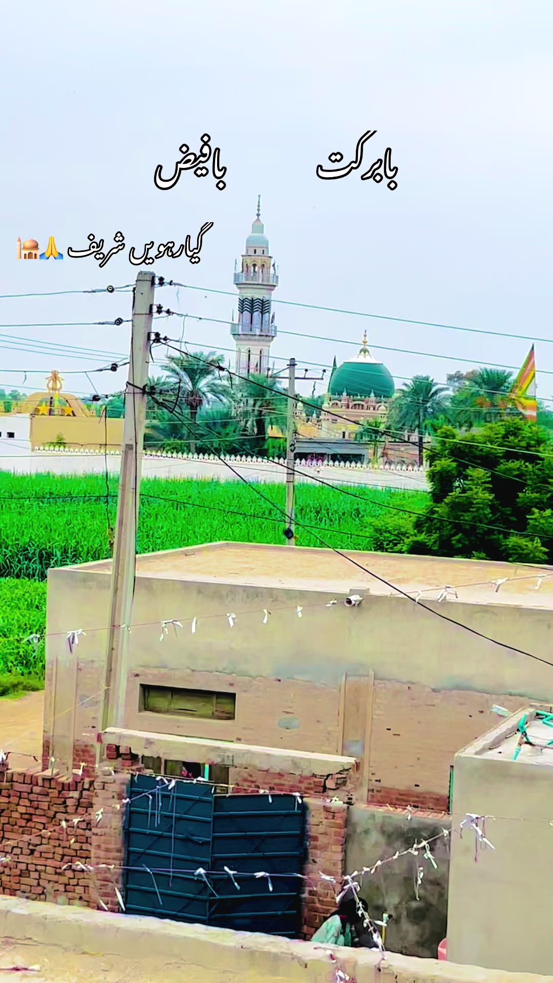 @🍂🌾 پنجابی کلچر 🌾🍂