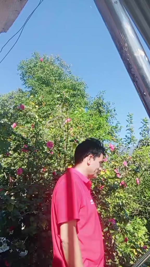 @Dilli Nirvik