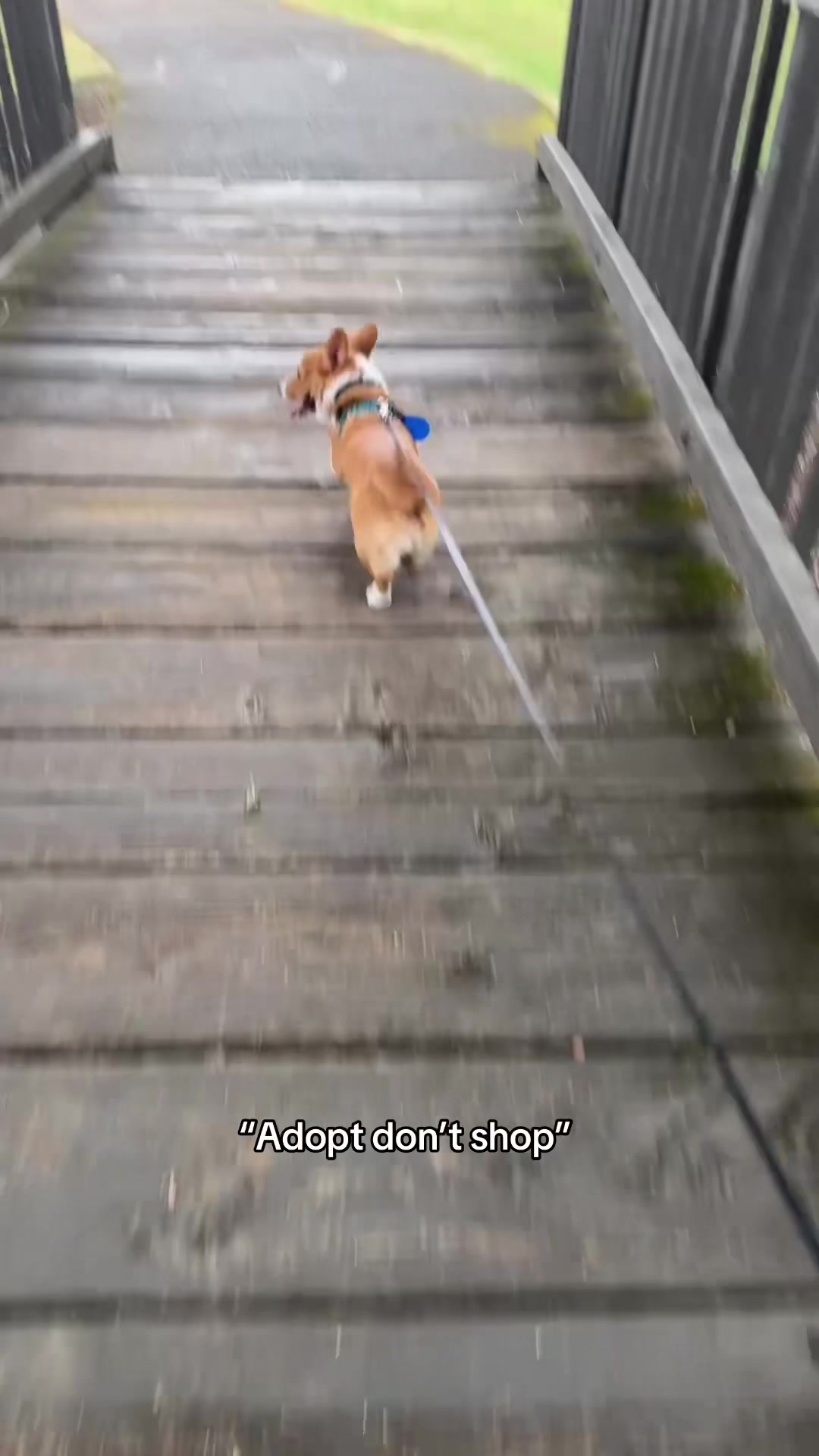 @๐
๐
๐
๐
๐