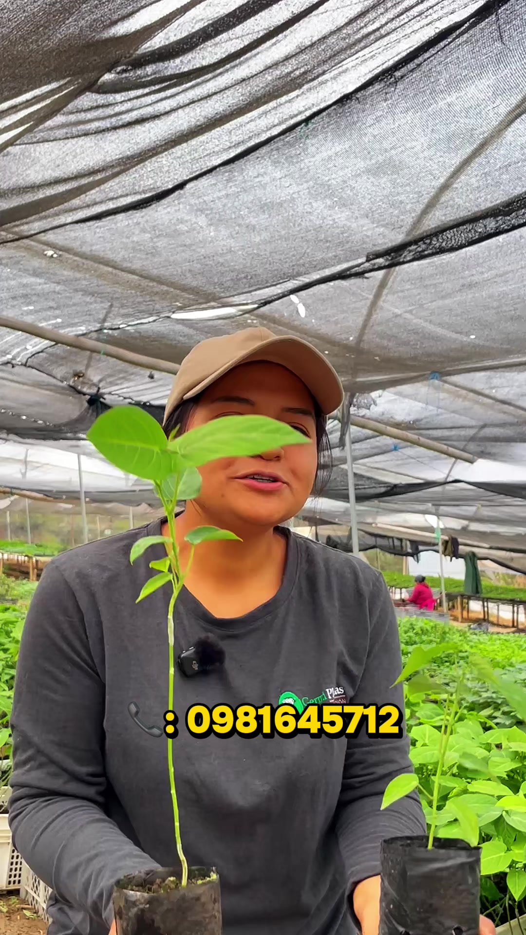 @Germi Plantas 🌱