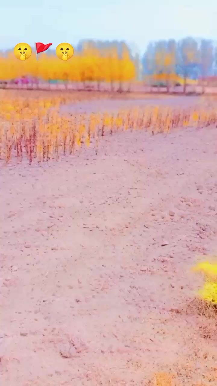 @{{{{🥀 Lalchand🥀 kumar🥀}}}}