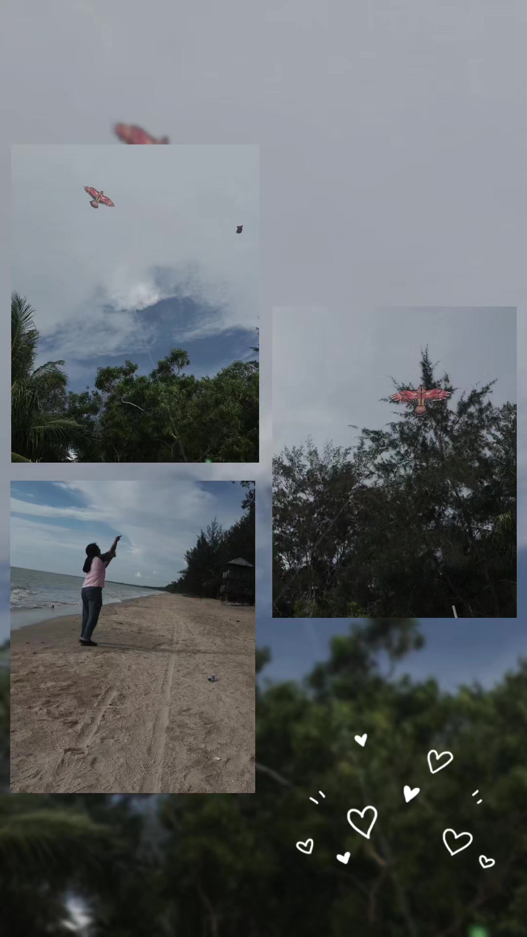 @Mui Fung