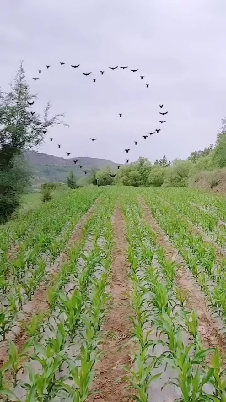 @𝐁𝐈𝐒𝐇𝐍𝐔 𝐃𝐄𝐕