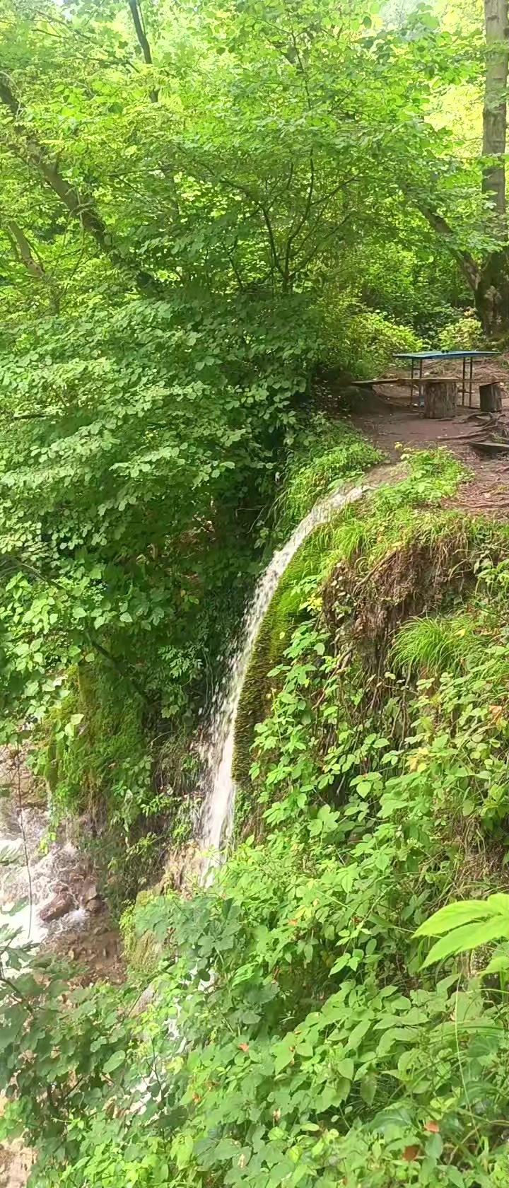 @Qax_Şuşa turu