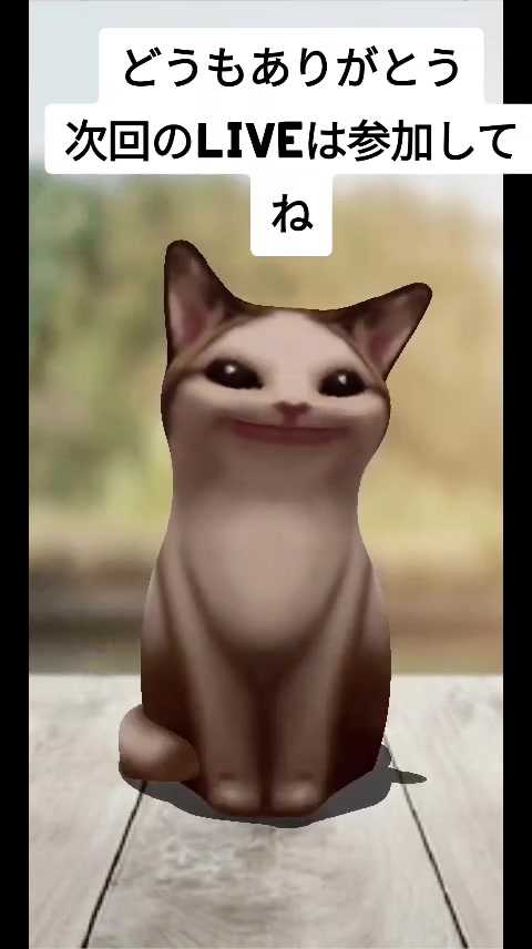 @🐱ねこみみ🐱