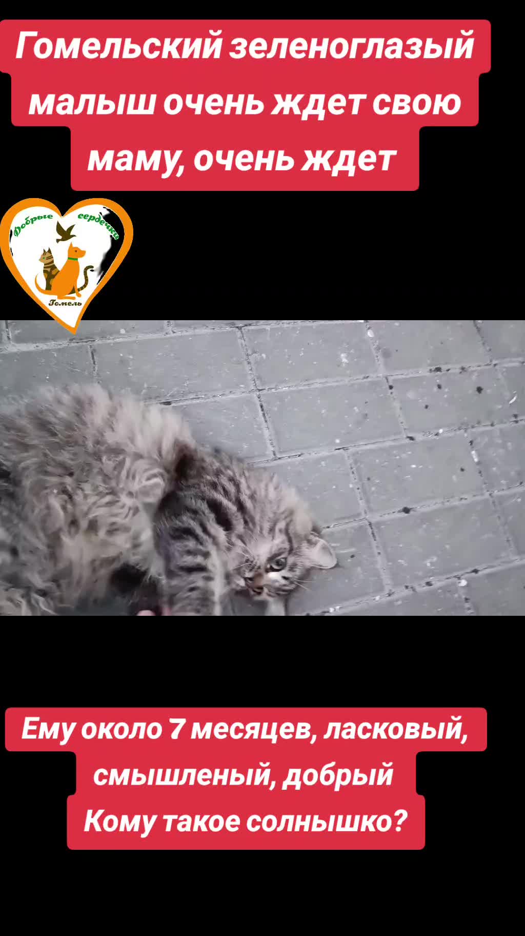 @Марина