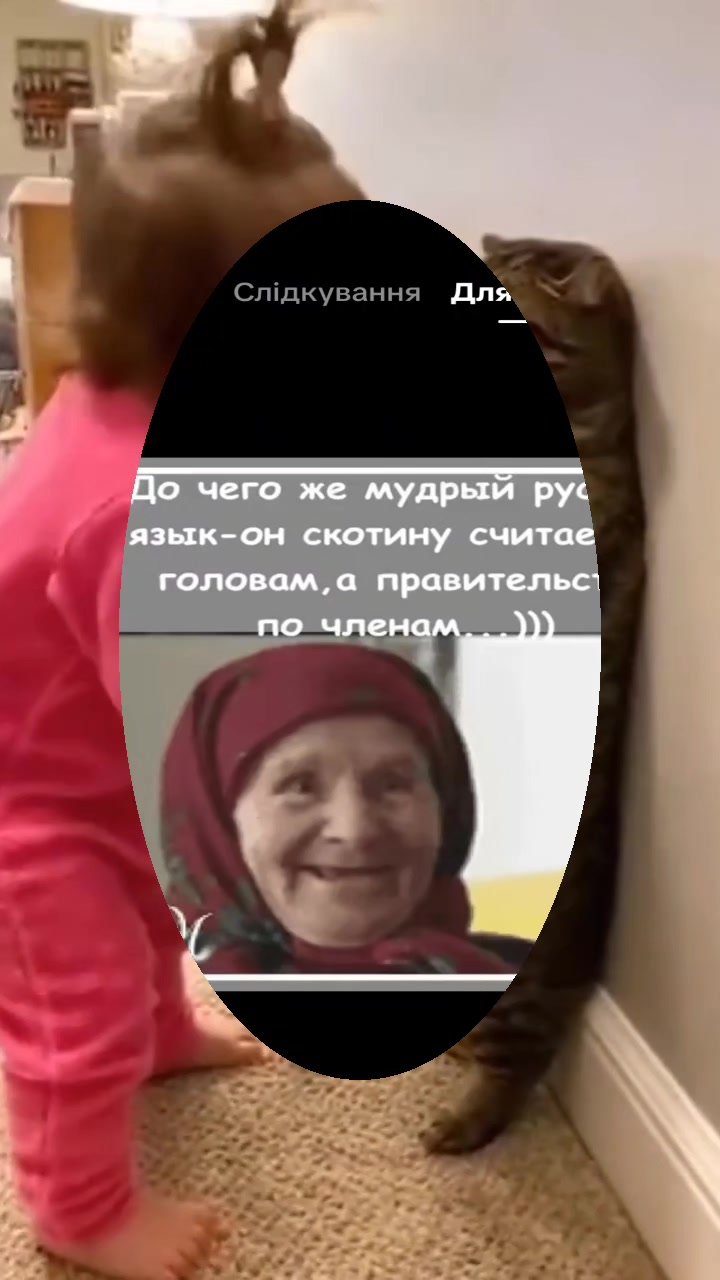 @user8811961760088