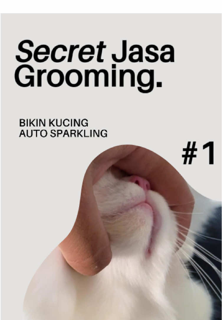 @Groom Indonesia