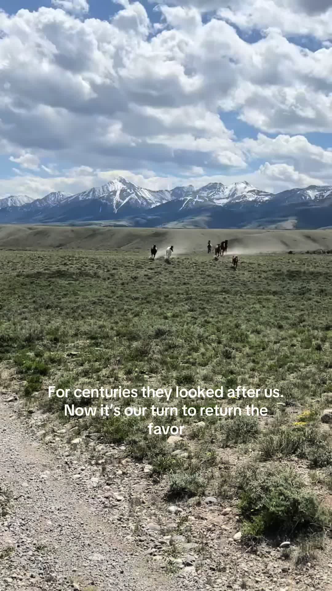 @RewildingAmericaNow