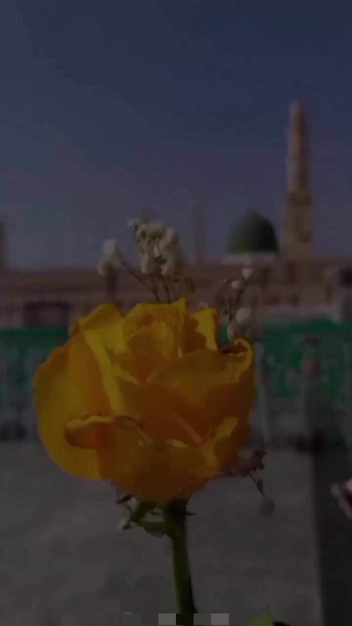 @Irshad Shaikh