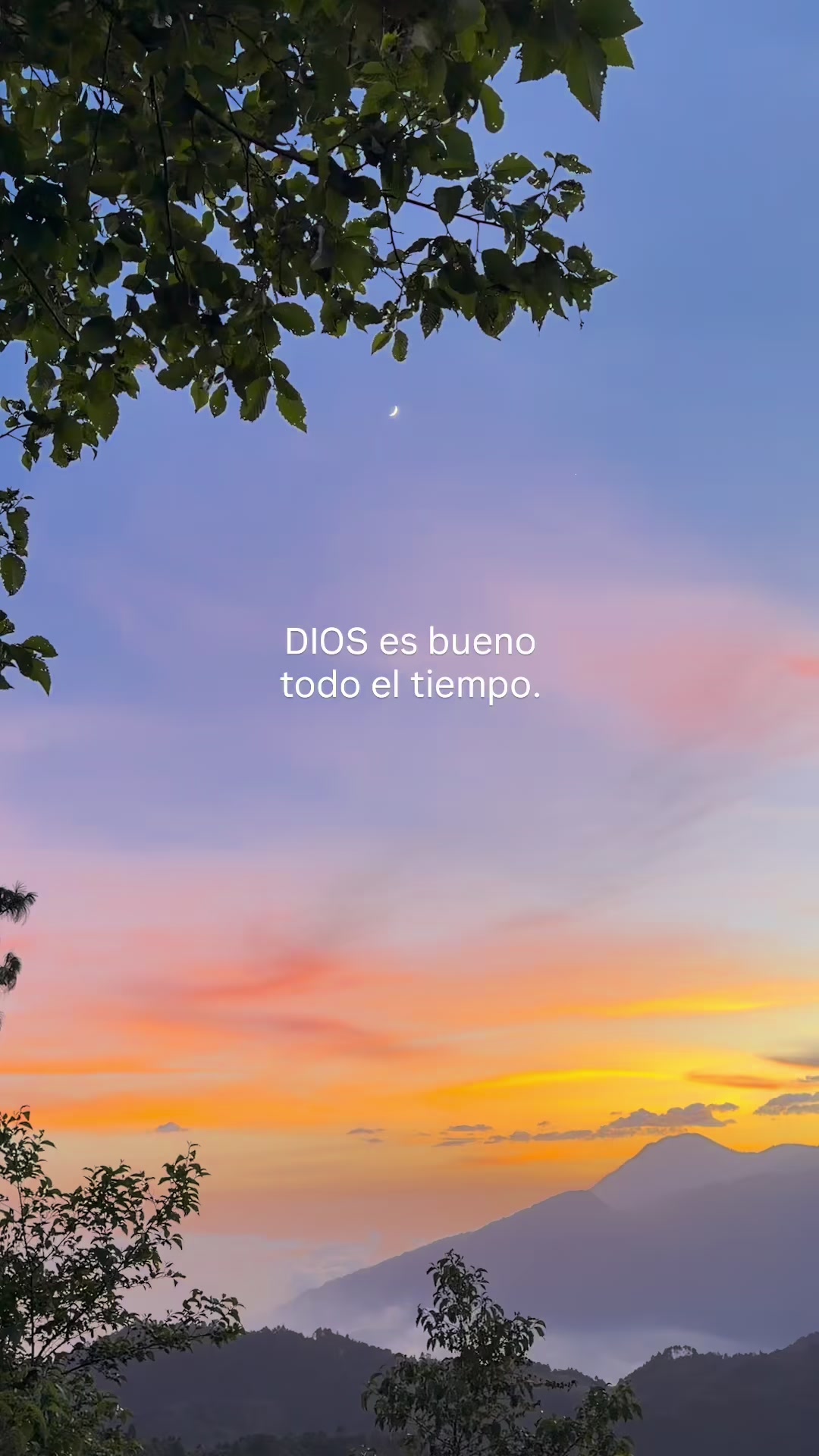 @xelatravels