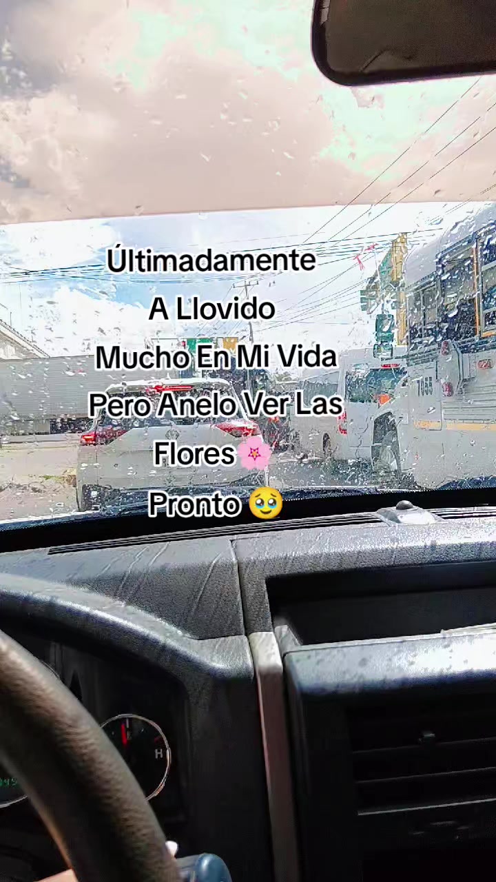 @Gabriela SR