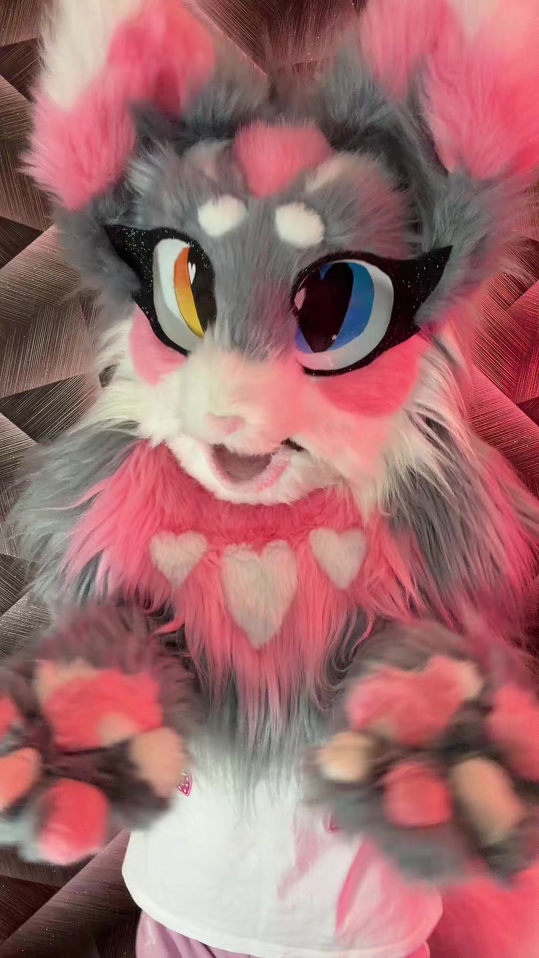 @🌷❀。˚⋆𝒀𝒖𝒏𝒊𝒕𝒕𝒚⋆˚。❀🌷