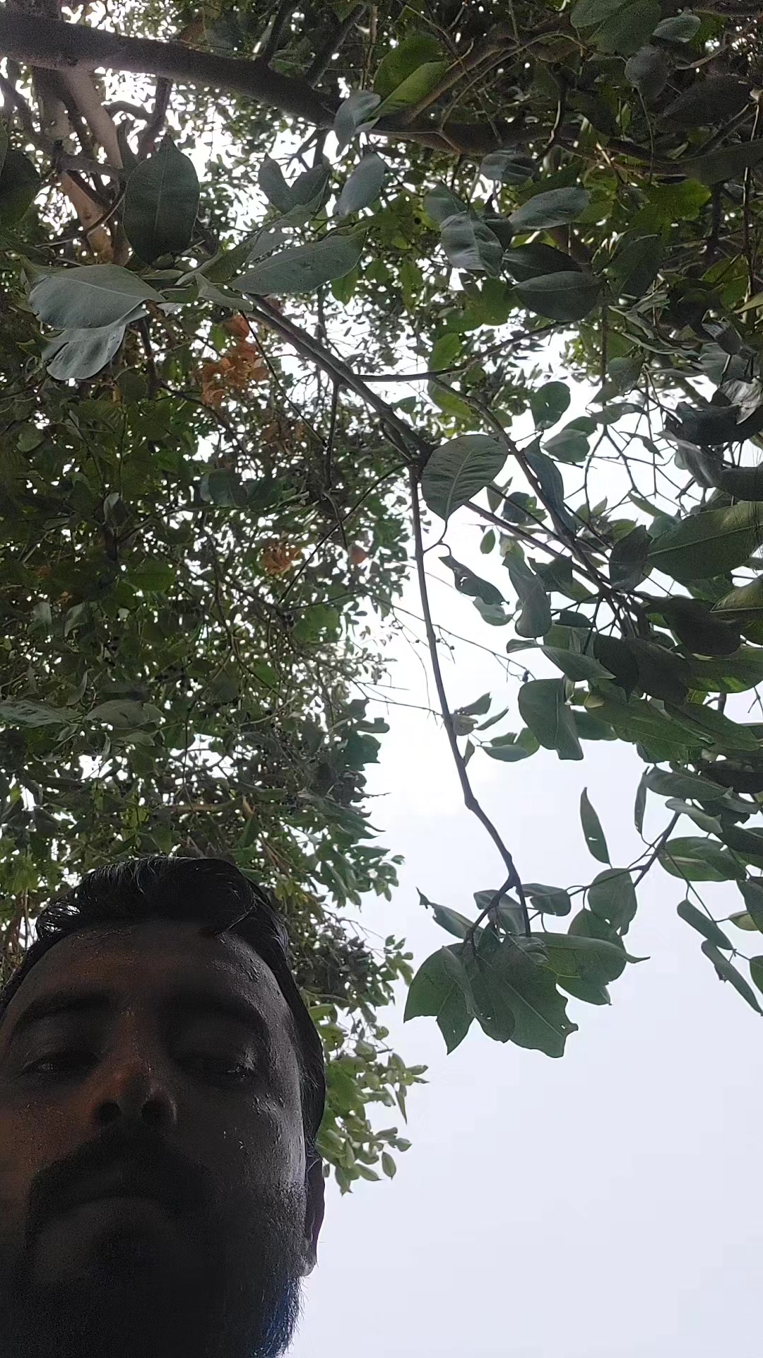 @Imran star