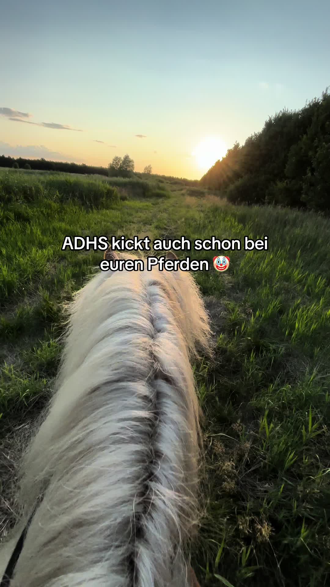 @ℋ