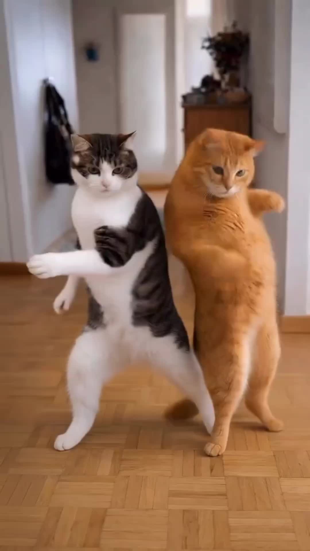 @럭셔뤼덤머!
