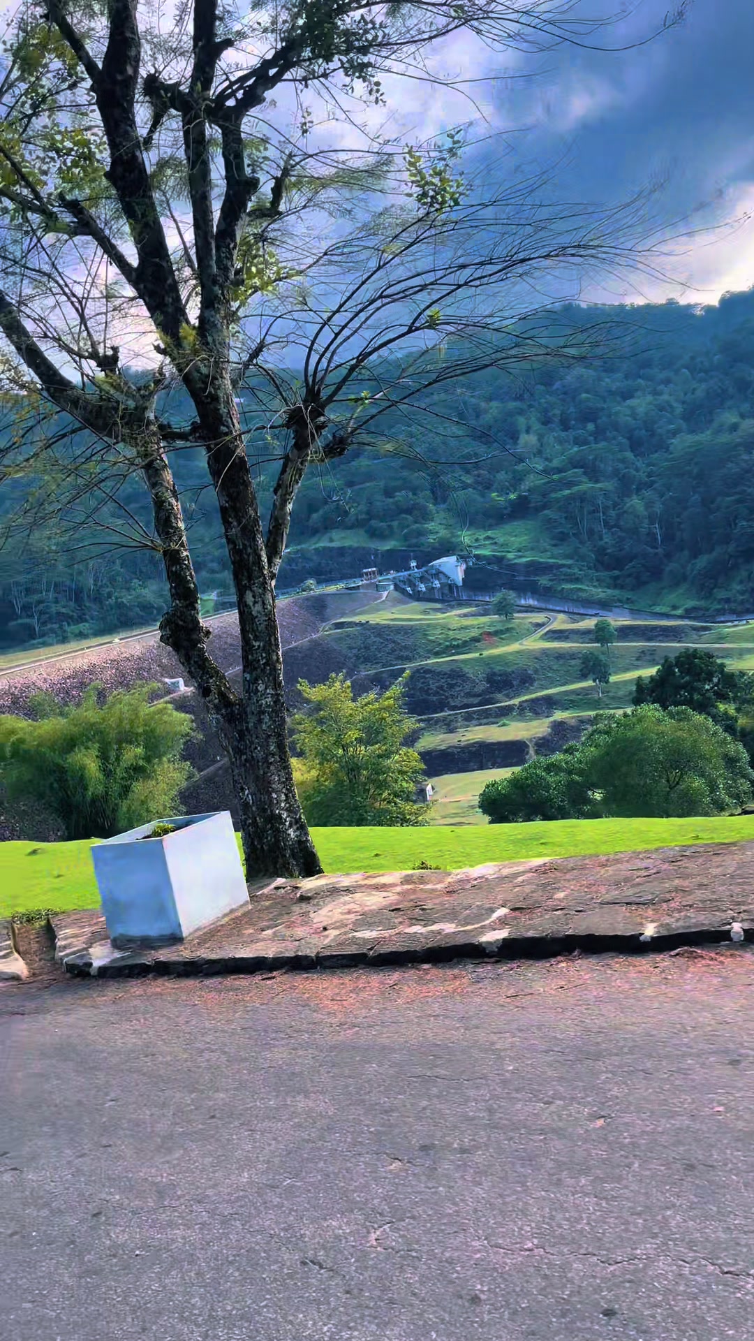 @̳͟͞͞𝑫𝑹𝑬𝑨𝑴𝒁𝒁  🇫🇷