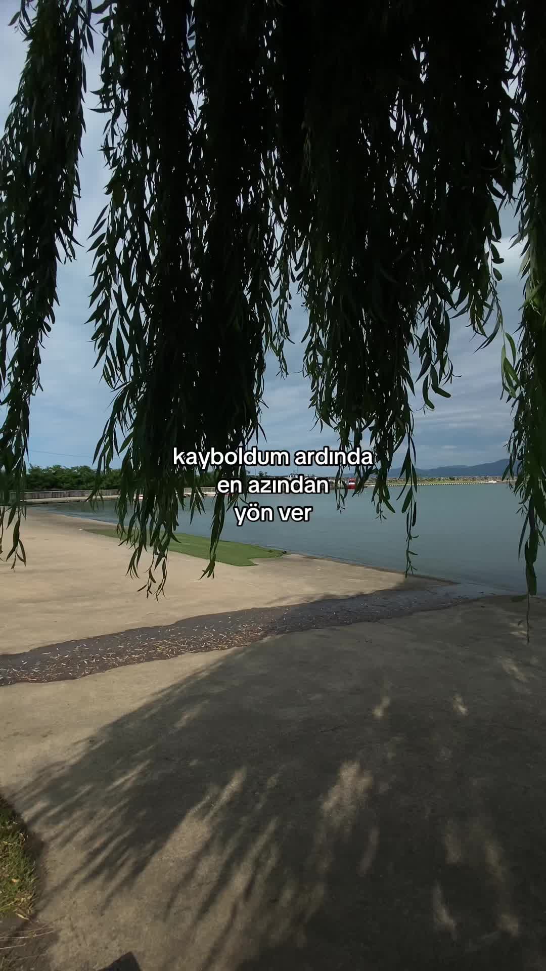 @𝓔 ᥫ᭡ 𝓐