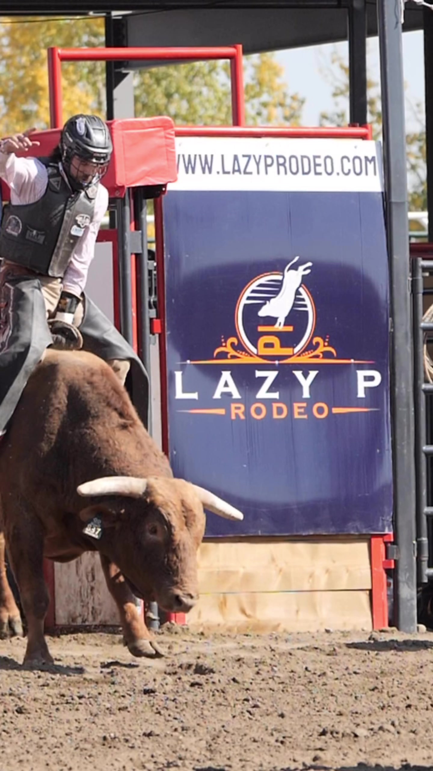 @Lazy P Rodeo