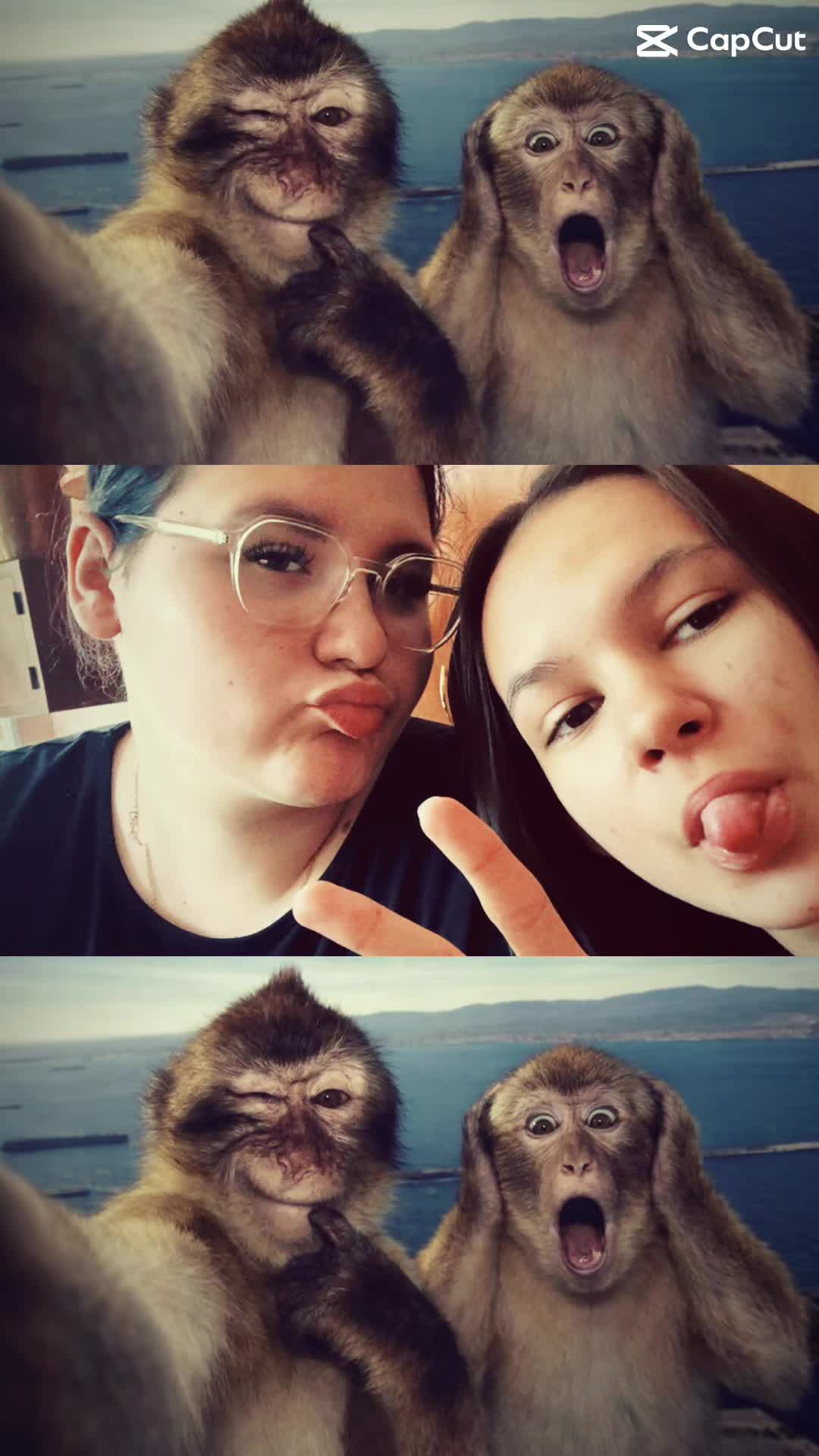 @kk