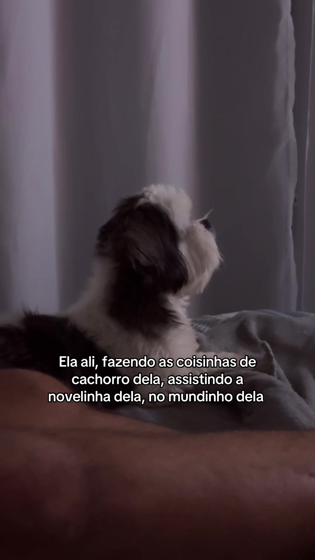 @Gaby Menon