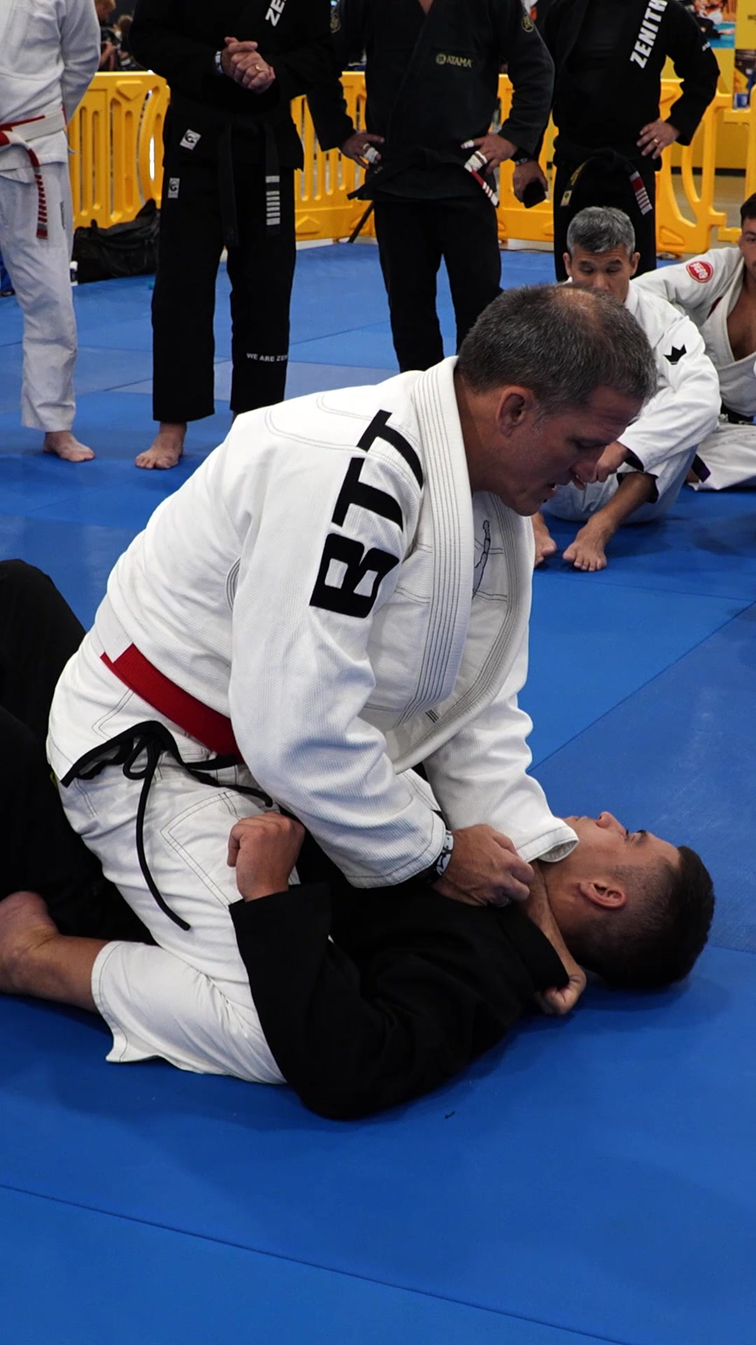 @IBJJF